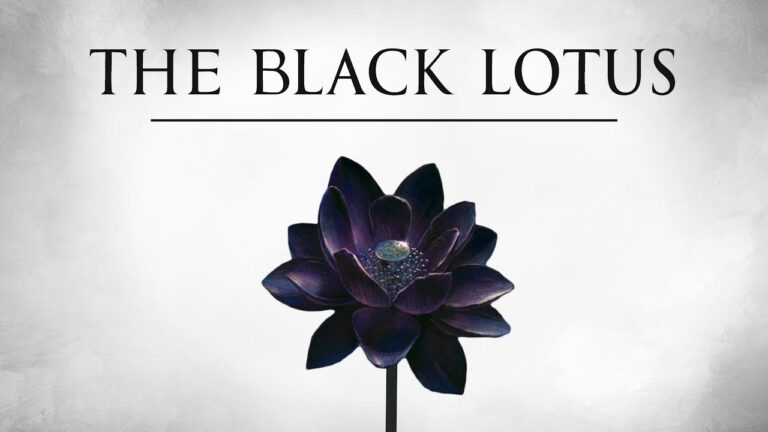 why is black lotus so expensive