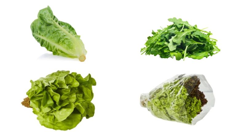 Why is Iceberg Lettuce So Expensive